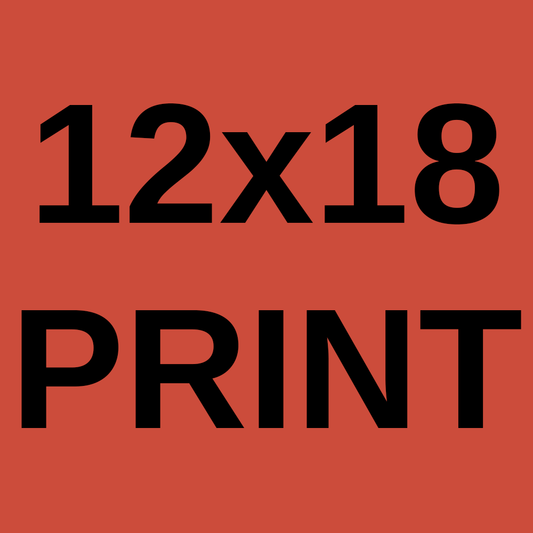 photo print (12x18)